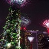 【シンガポール】昼と夜で違う顔を見せてくれるマストゴーな絶景