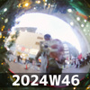 見たまま (2024W46)