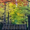 【池に映る紅葉】は英語で何と？荻窪の大田黒公園と一緒に学びます