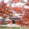 なごり紅葉の平等院