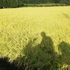 神社巡りツーリング【妙義神社・榛名神社】