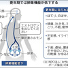 更年期障害と甲状腺疾患