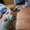 勉強って楽しい📚😊＠無限の可能性∞