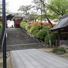 つつじ咲き誇る護国寺2024遅春。　・・・ちいかわご朱印だとぅ(笑)