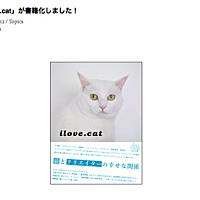 Ilove Catとは ウェブの人気 最新記事を集めました はてな Ilove Catとは ウェブの人気 最新記事を集めました はてな