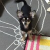 まろにー316日目