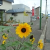 2019年8月の状況・まとめ（郵便局めぐり）