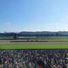 中央フリーウェイの彼方へ