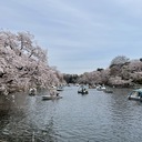 小学校受験を振り返る