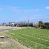 琴電仏生山北側に止まるレトロ電車