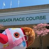 新潟競馬場