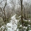 九州自然歩道　13日目　雪の背振山系稜線を歩く　福岡市早良区椎原峠～金山～佐賀市富士町北山キャンプ場　2020年1月18日