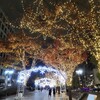 【大阪】「御堂筋イルミネーション」「中之島イルミネーション」に行ってきました。