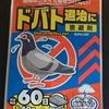 ダイソーで購入したハト忌避剤