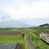 指宿枕崎線でヨンマルを撮る その1　2023南九州撮り鉄遠征⑨