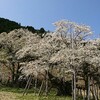 あなたへの手紙・花咲時