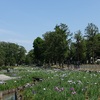 水元公園は釣りに花見に