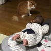 週末の報告