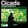 #145 pool（＋introduction for Cicada）