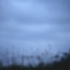 履歴稿　北海道似湾編　吹 雪　10の5