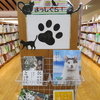 「猫まっしぐら」