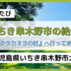 【サクラカネヨの杜】いちき串木野市の絶景！ 醤油や味噌を製造してる会社の私設公園【鹿児島県いちき串木野市大里】