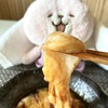 セブ島育ちのうさぎのかなぴーチェンマイで初めてお餅を食べる！タイのアイリスオーヤマもやっぱりテキトーだった💦