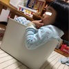 狭い場所すきだね