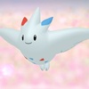 エースバーン、トゲキッスなど。シリーズ6で禁止ポケモン達の罪状を読み上げる【ポケモン剣盾・鎧の孤島】