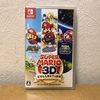 ポンプゲー 偽マリオを追え編
