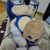 今年を振り返る(上半期編)
