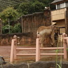 雨の動物園