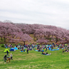 2016/04/02 今日は自転車は無し！！！お花見寒かったけど楽しかったよ！！