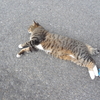 なかちゃんの思い出36