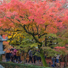 京都の紅葉2017～屈指の名所・永観堂（後編）