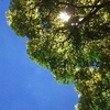 雨