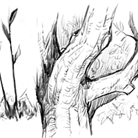 トトロとは アニメの人気 最新記事を集めました はてな トトロとは アニメの人気 最新記事を集めました はてな