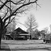 【RICOH GRⅢ・仙台市】2022年もスナップで始まりました 。その２Jnuary 2022