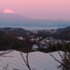 2019　11/4㊊　自宅からの富士山風景