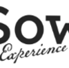 Sow Experience（ソウ・エクスペリエンス）でポイ活するならポイントサイト経由がお得！還元率の高いサイトを比較してみた！