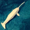 イッカクのローポリゴン調ペーパークラフト(無料型紙) loe-poly Narwhal paper craft template