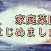 夏野菜の苗を植えた我が家の庭は家庭菜園2年目になりまして