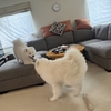 完敗