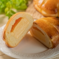 【サタプラ】焼きたて御養卵クリームパン「ザ スタンダード ベイカーズ TOKYO」東京駅グルメの最強の口コミ【11月8日】