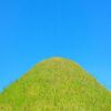 新型コロナウィルスと旅行の決断