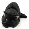 【黒猫L目明き】リアルシリーズのぬいぐるみレビュー！本物そっくり？癒やし効果は？