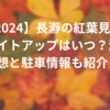 2024長瀞の紅葉見頃とライトアップはいつ？混雑予想と駐車情報も紹介！