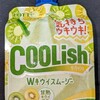 クーリッシュ Wキウイスムージー！カロリーや値段や味は？コンビニで買えるアイス商品