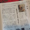 読売新聞さんに。