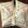 ふるさと納税で、山形県寒河江市から「新米　はえぬきが20kg」が届きました！